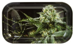 Drehtablett Rolling Tray Buds Syndicate  27x16x1cm