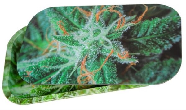 V-Syndicate Rolling Tray Small Buds + Magnetic Cover