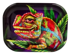 Geschenkset Starterset mini "Chameleon"