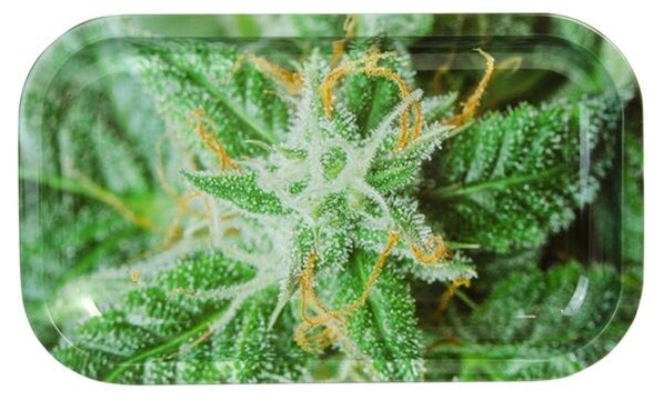 V-Syndicate Rolling Tray SMALL „Bud Motiv“ &ndas